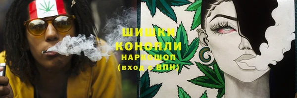 гидропоника Иннополис