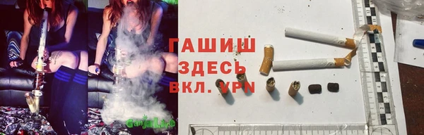 гидропоника Иннополис