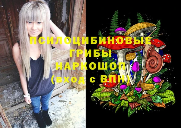 гидропоника Иннополис
