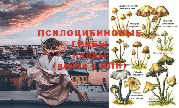 амф Инсар