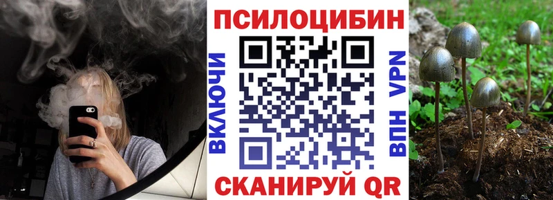 Купить  Светлогорск  Псилоцибиновые грибы мухоморы 